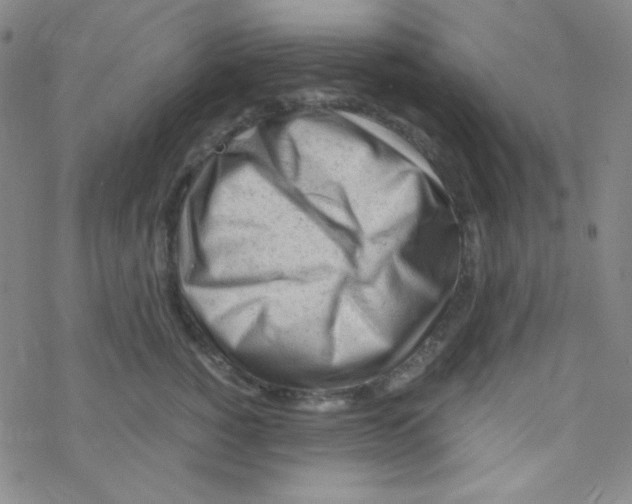 X0000076230760200610261850
