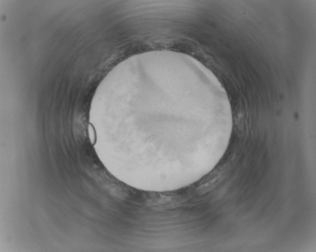 X0000076230772200610261849