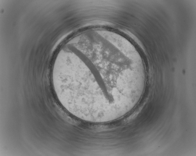 X0000076230783200610261849