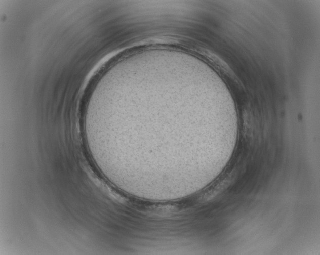 X0000076230784200610261849
