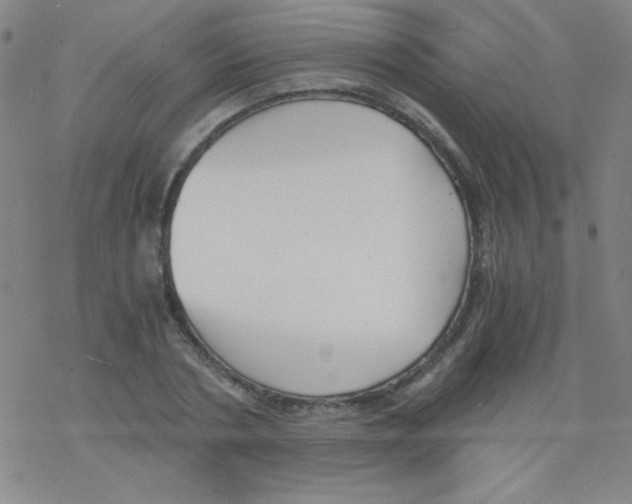 X0000076230786200610261849