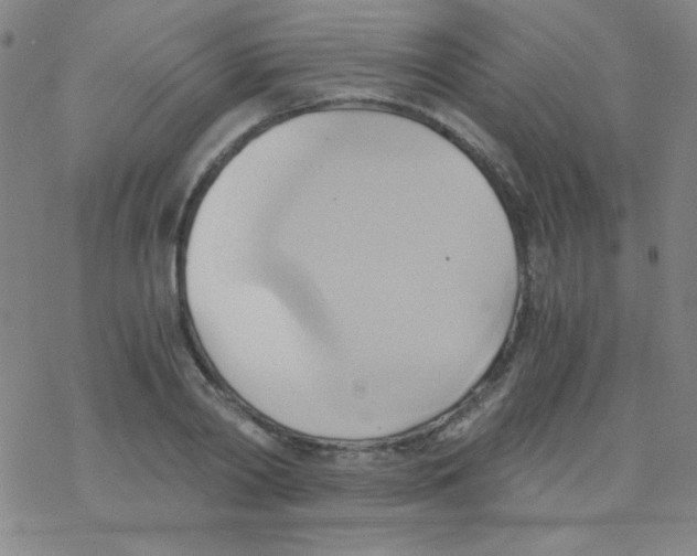 X0000076230790200610261849