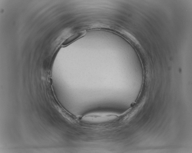 X0000076230793200610261849