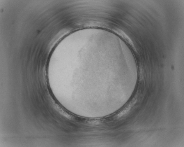 X0000076230798200610261849