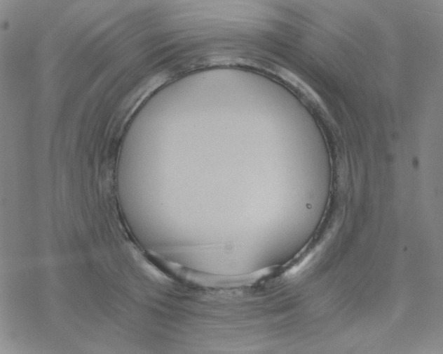 X0000076230801200610261849