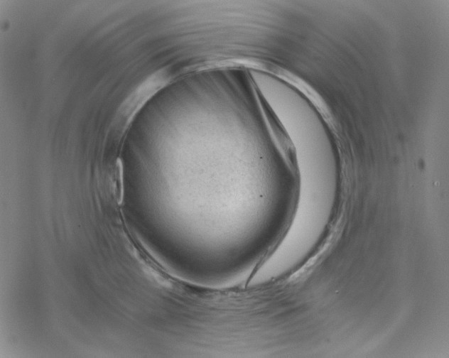 X0000076230809200610261849