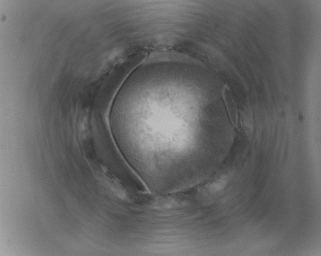 X0000076230818200610261848