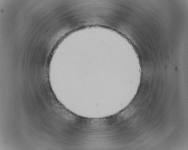 X0000076230832200610261848