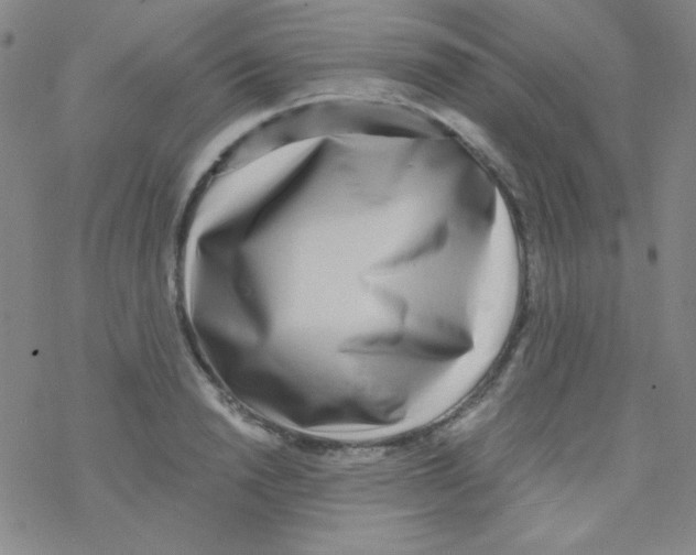 X0000076230846200610261848