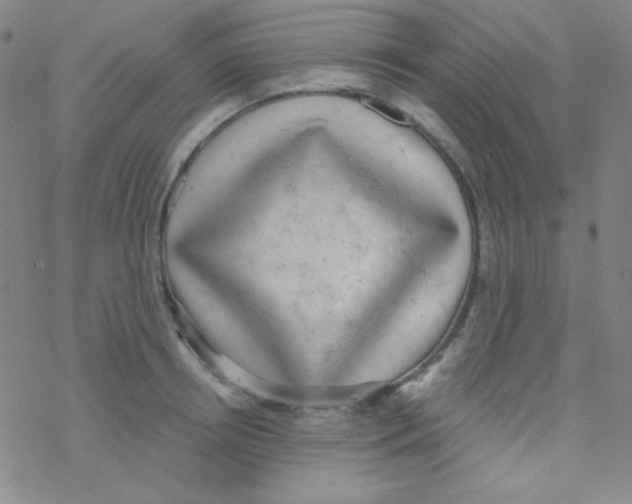 X0000076230850200610261848