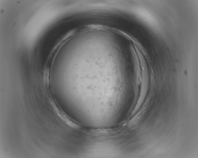 X0000076230862200610261849