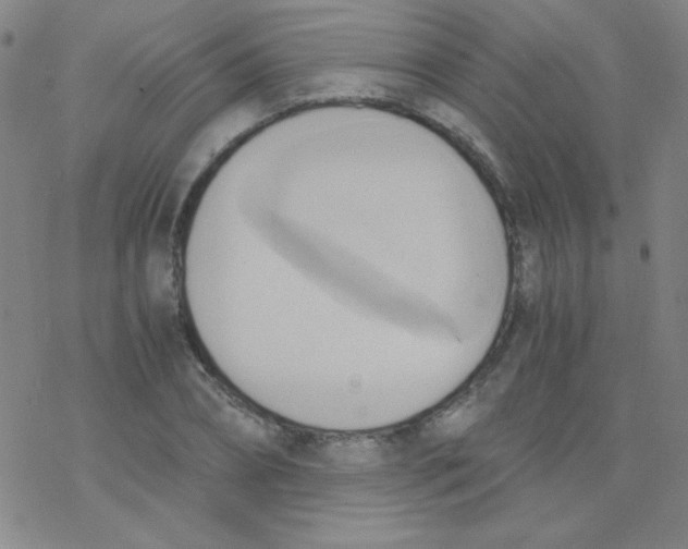 X0000076230882200610261848