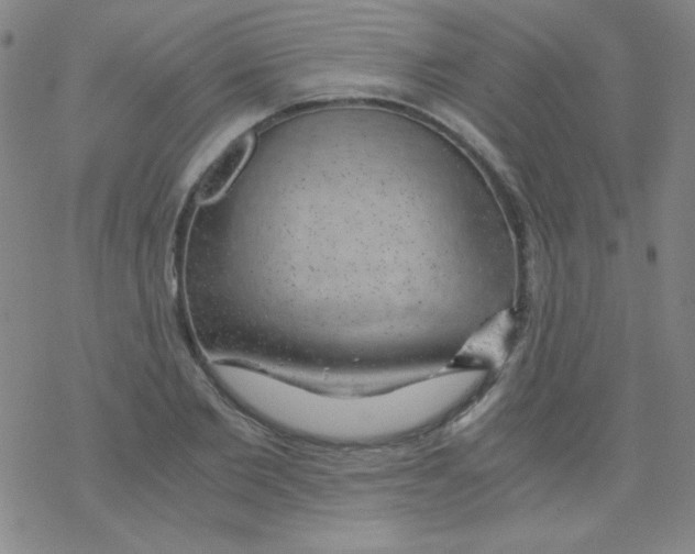 X0000076230885200610261848