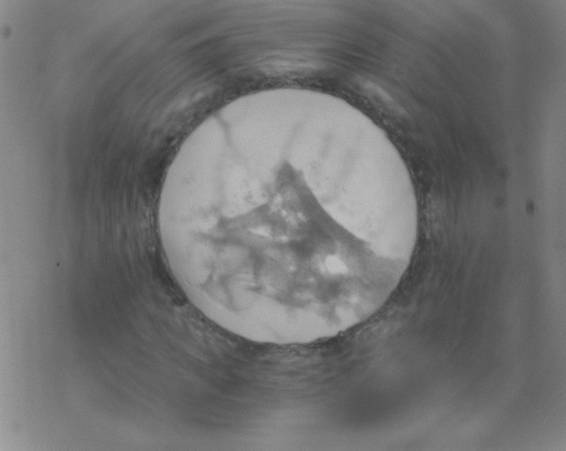 X0000076230917200610261846