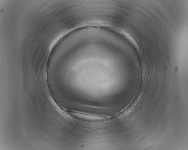 X0000076230944200610261847