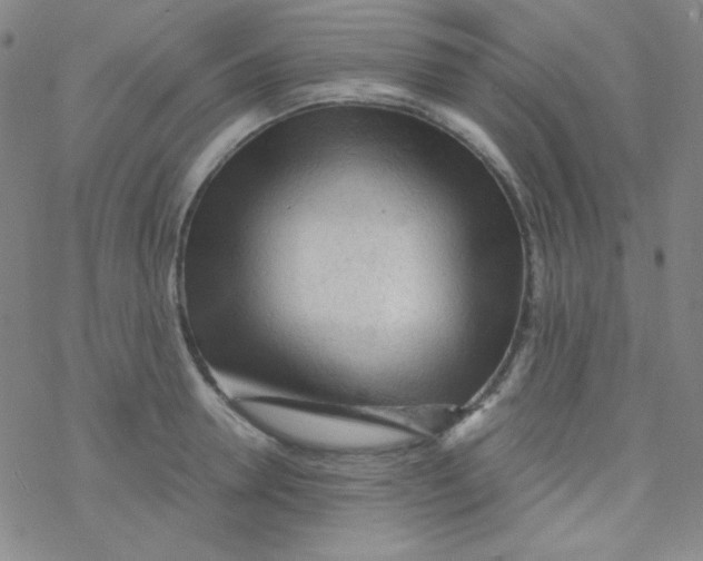 X0000076230946200610261847