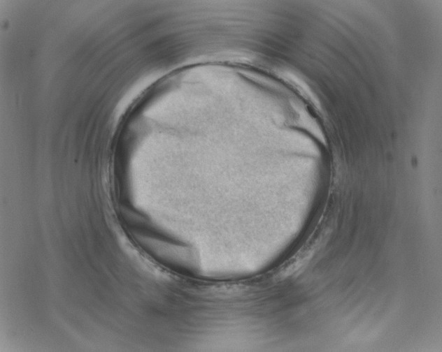 X0000076230952200610261847