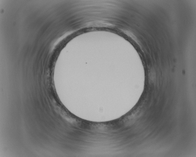 X0000076230971200610261846