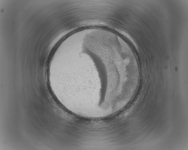 X0000076230983200610261846