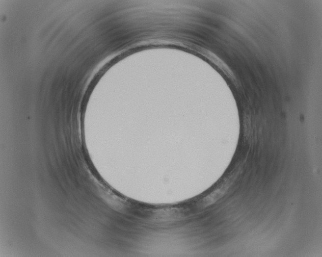 X0000076230988200610261846