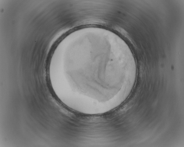 X0000076231024200610261845