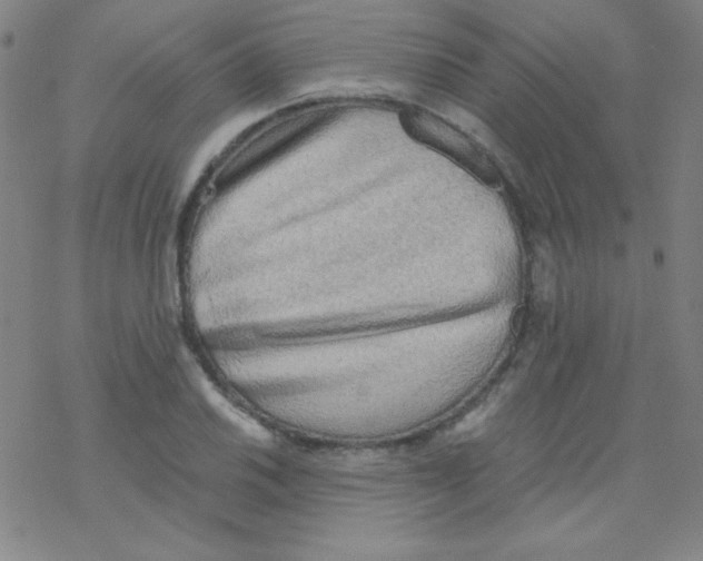 X0000076231030200610261845