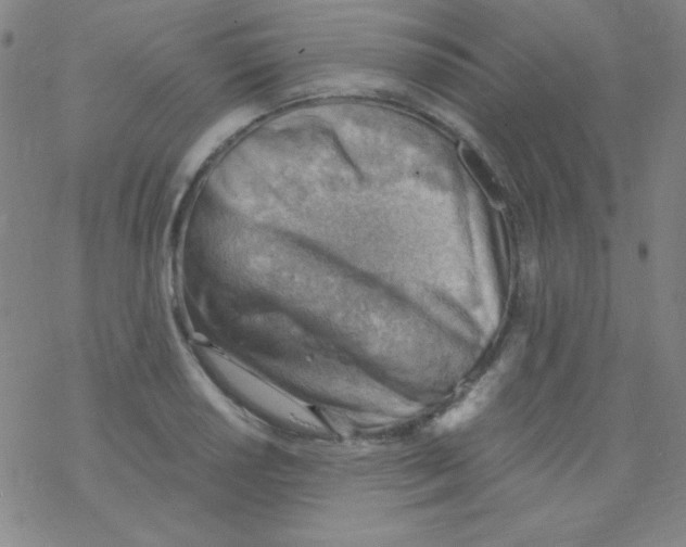 X0000076231034200610261845