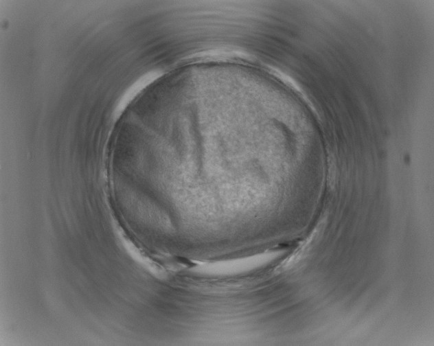 X0000076231042200610261845