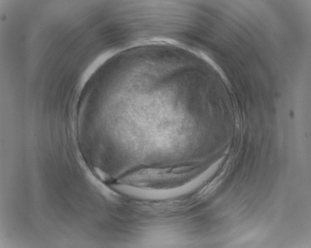 X0000076231054200610261845