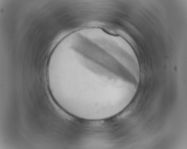 X0000076231055200610261846