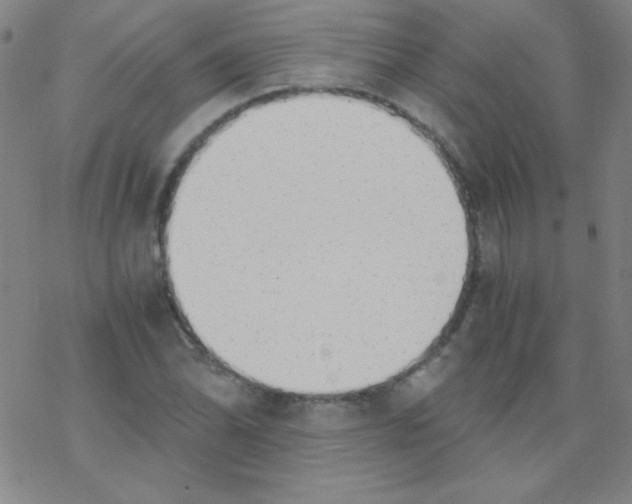 X0000076231070200610261845