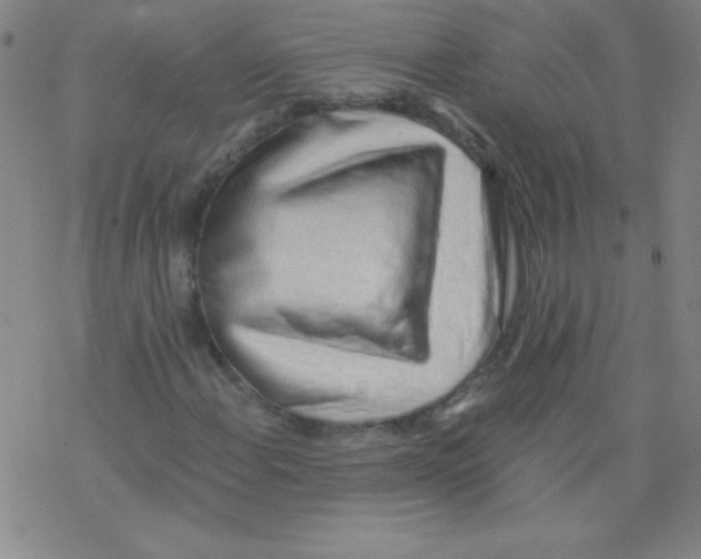 X0000076231108200610261843