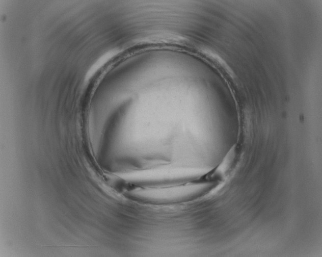 X0000076231114200610261843