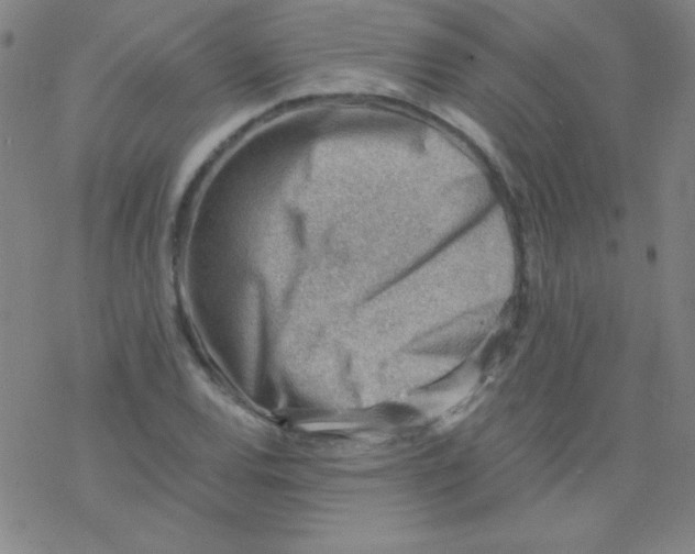 X0000076231120200610261843