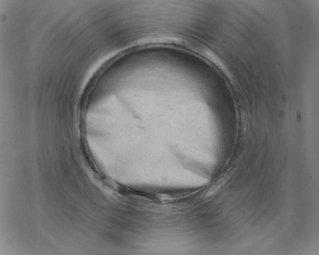 X0000076231124200610261844