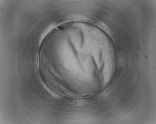 X0000076231128200610261844