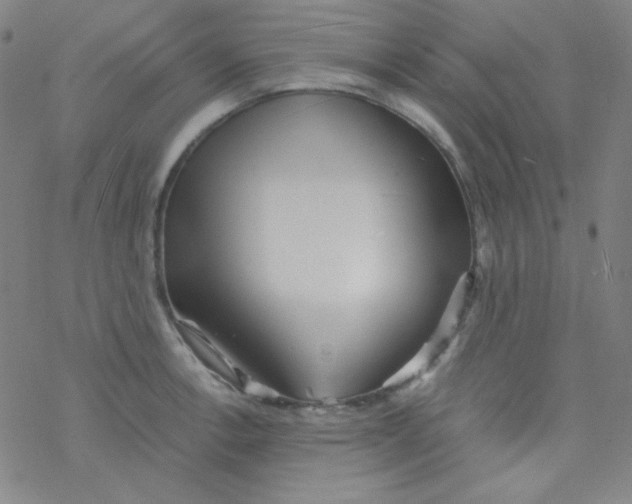 X0000076231138200610261844