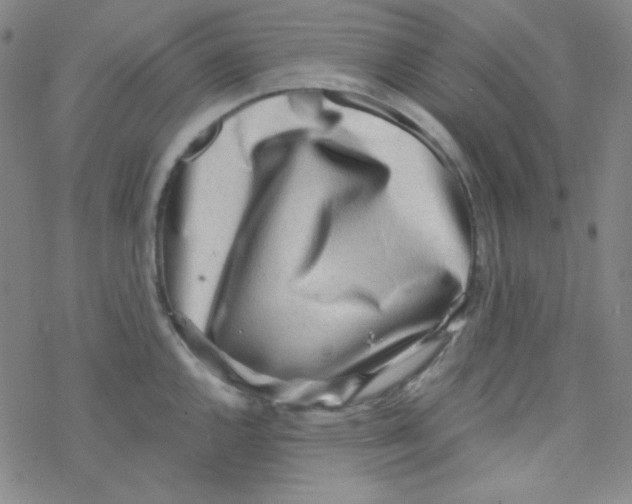 X0000076231144200610261844