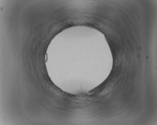 X0000076231153200610261843