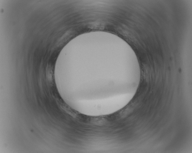 X0000076231154200610261843