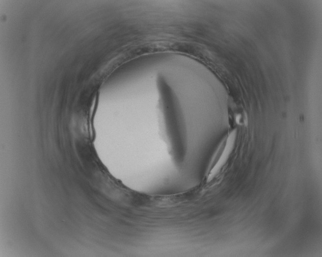 X0000076231155200610261843