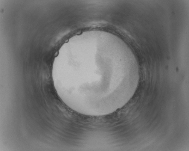 X0000076231158200610261843