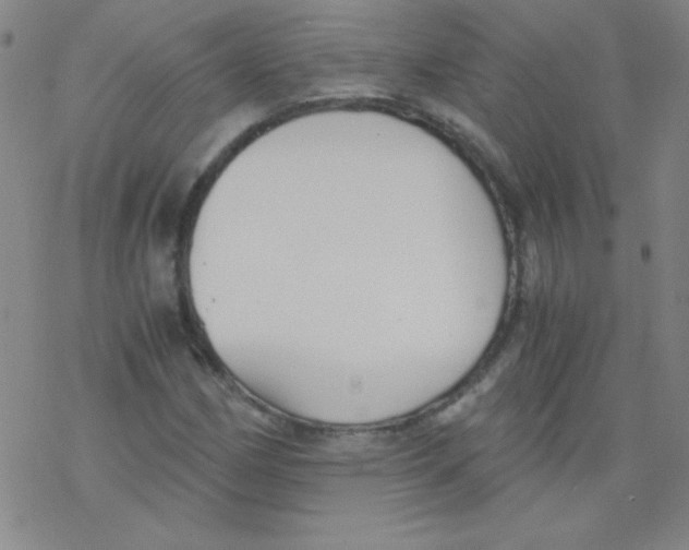X0000076231162200610261843