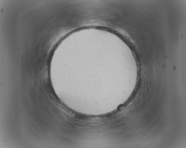X0000076231167200610261843