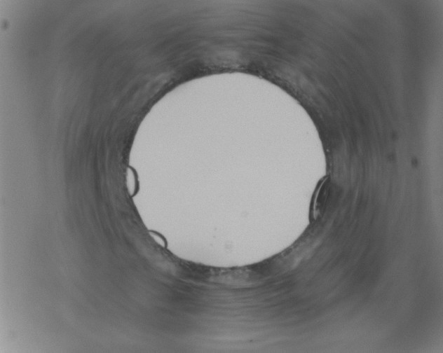 X0000076231201200610261842