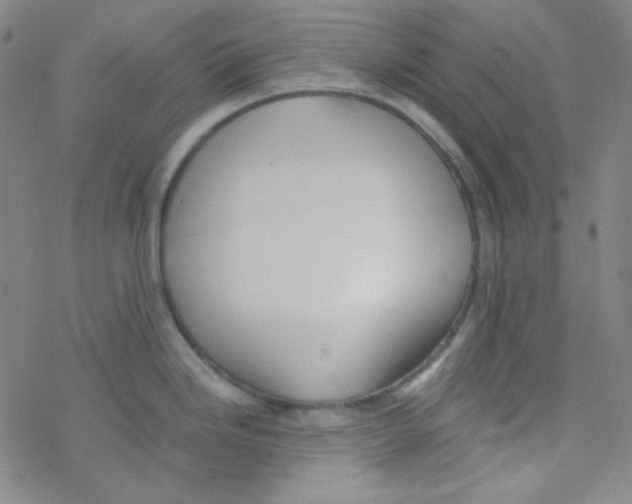 X0000076231246200610261842