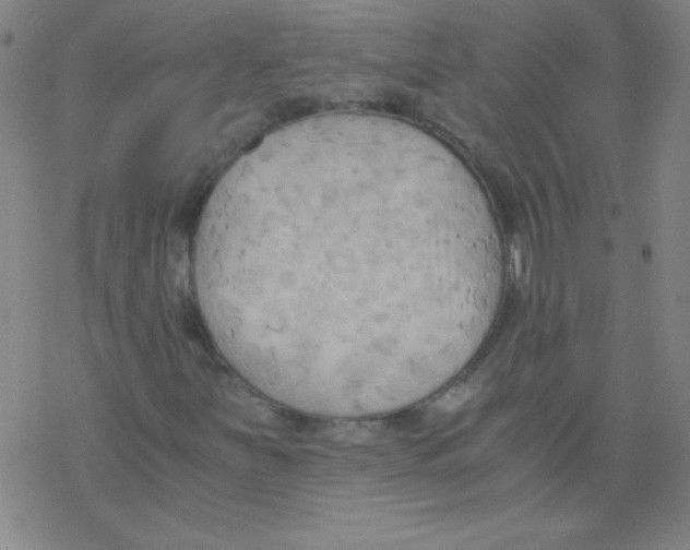X0000076231251200610261841
