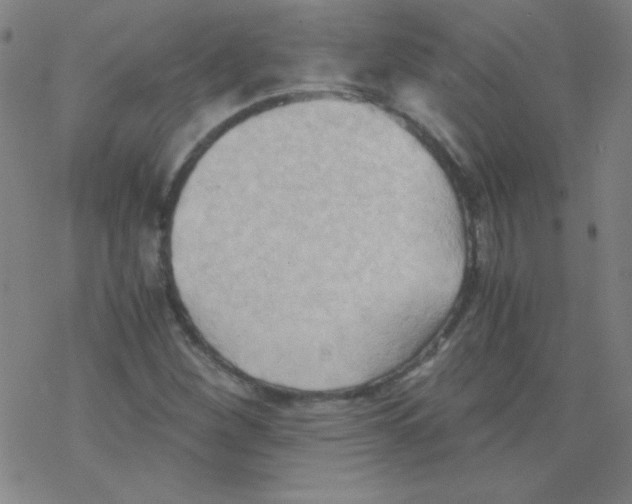X0000076231260200610261841