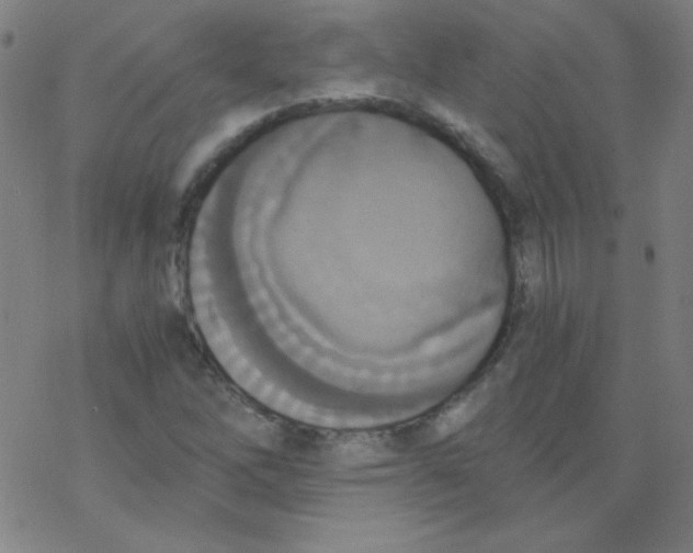 X0000076231262200610261841