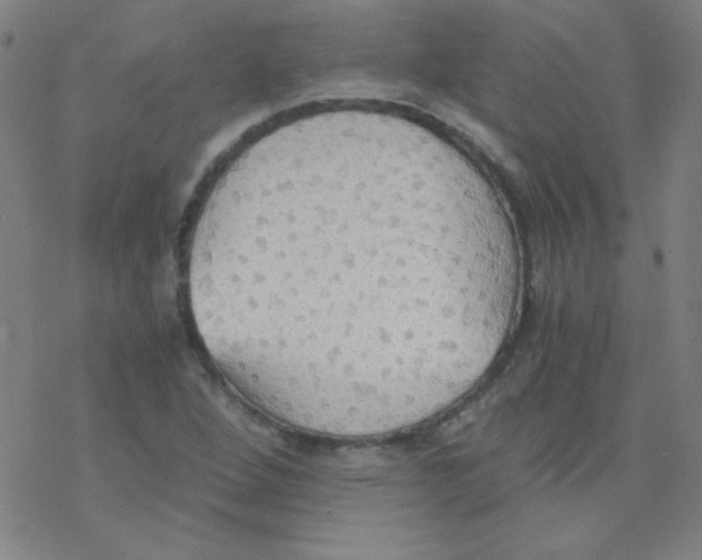 X0000076231264200610261841